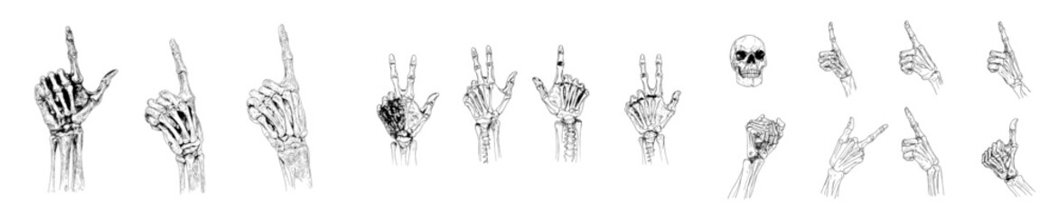 Modern illustration of an isolated background featuring a set of metal hand sign skeletons