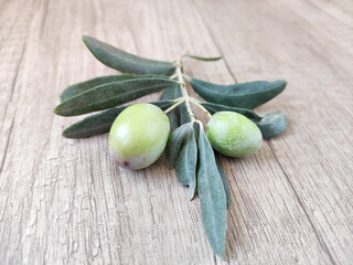 Natural fresh green olives on a branch with leaves on a wooden background