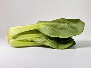 Chinese cabbage bok choy on a light background