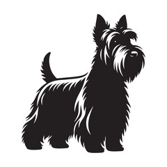 Detailed Scottish Terrier silhouette showcasing its well-known features - Scottish Terrier illustration - minimal Scottish Terrier vector - dog silhouette
