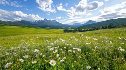 Idyllic mountain landscape with daisy field and blue sky.