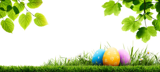 A collection of painted easter eggs under bright green tree leaves celebrating a Happy Easter in...