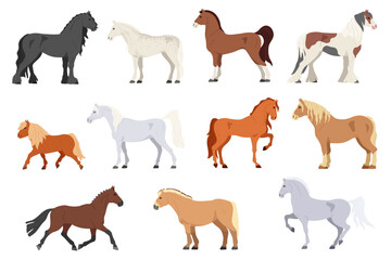 Cartoon horses. Different horse types, breeds and colors. Prancing pony, stallion run gallop and standing steed poses. Horse show isolated vector set.