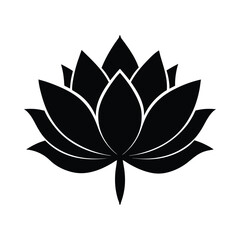 lotus flower vector
