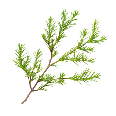 Fototapeta premium Fresh Green Branch with Lush Vibrant Leaves Isolated on Transparent Background