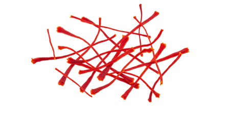 Top View 4K Organic High-Angle Saffron Threads on White