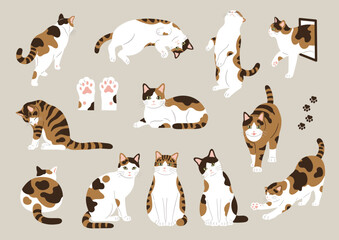 三毛猫のイラスト素材セット © Spiharu