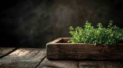 Fresh Thyme in Rustic Box on Wooden Table © Rizqiana