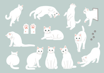 白猫のイラスト素材セット