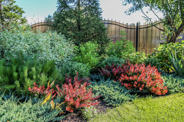 Beautiful landscaped garden with red and green shrubs in summer