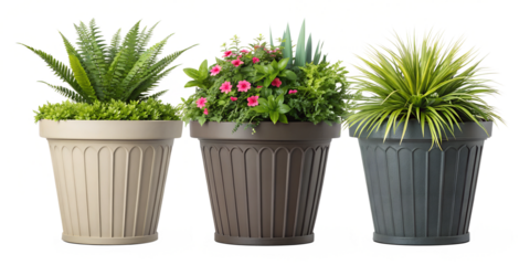 Large Garden Pots with Outdoor Plants, Pottery Design, Outdoor Garden Decor, Large Planters, PNG Transparent