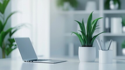 Fototapeta premium Minimalist workspace with laptop and indoor plant