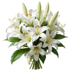 Fototapeta premium Close-up of a beautiful bouquet of white lilies against a transparent background.