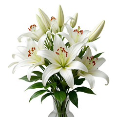 Fototapeta premium Close-up of a beautiful bouquet of white lilies against a transparent background.