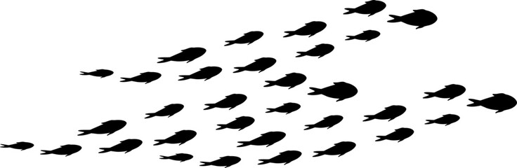 School of Fish Formation Silhouette Illustration Vector