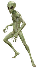 3D Rendering Green Alien on White