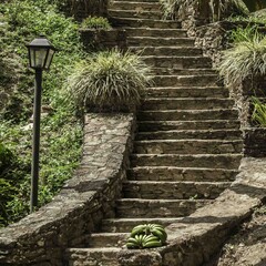 Escalera