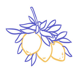 Lemon branch line icon vector illustration. Hand drawn outline citrus with peel and branch with leaves in blue and yellow color. Amalfi or Sicily emblem of ripe lemons drawing in ink doodle style.