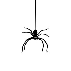 Black cartoon spider hanging on a thread, simple and cute design isolated