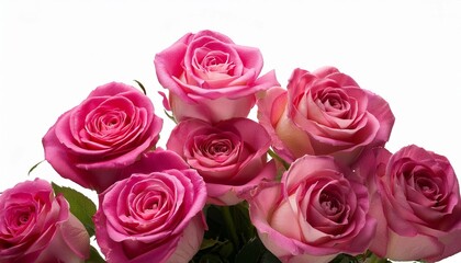 bouquet of pink roses