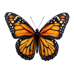 Fototapeta premium Monarch butterfly isolated on transparent background, PNG