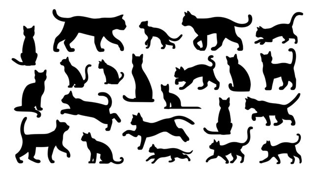 Silhouette von Katzen