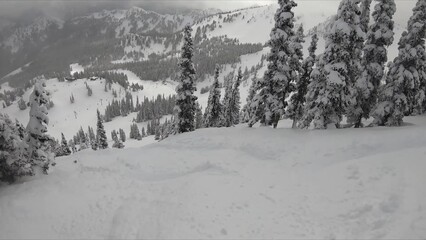 Picturesque Snow-covered Mountain Landscape Featuring Dense Trees And Pristine Powdered Snow