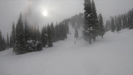Breathtaking View Of Snow Covered Mountain Surrounded By Trees Under A Sunny Sky