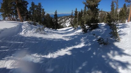 Spectacular Winter Landscape Featuring A Snow-covered Trail Amidst Majestic Trees