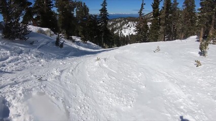 Winter Serenity: Snowy Trail Cutting Through A Peaceful Frozen Landscape
