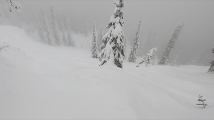 Active Individual Enjoying Winter Sports By Skiing Across The Picturesque Snowy Landscape