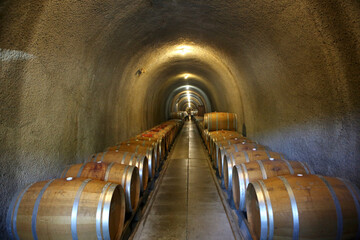 Wine cellar with wooden barrels