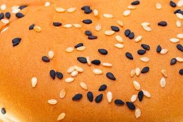 hamburger bun close up