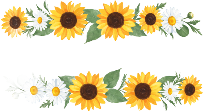4K Top View Organic Watercolor Sunflowers and Daisies Floral Border