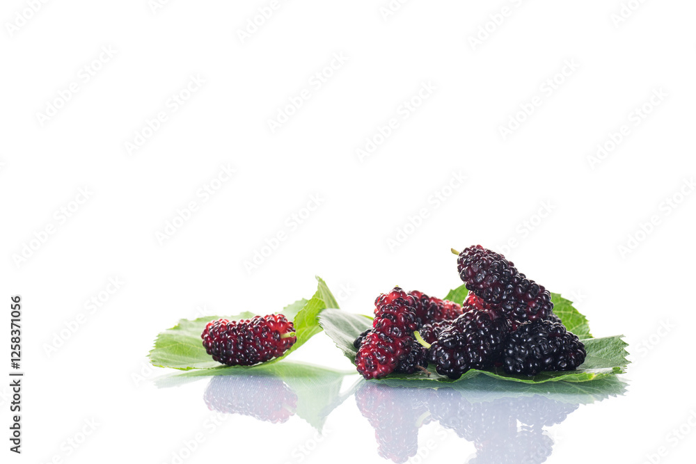 Canvas Prints ripe black mulberry berries with leaves, isolated on white background