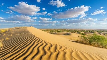 Naklejka premium Top view of vast sand dunes with intricate patterns and textures, showcasing the natural beauty of desert landscapes, warm tones, and undulating sand formations.