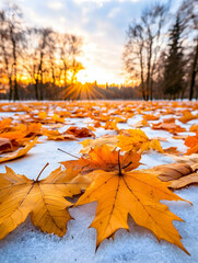 Autumn leaves on snow in forest, sunrise with clouds. Seasonal scene for calendar use