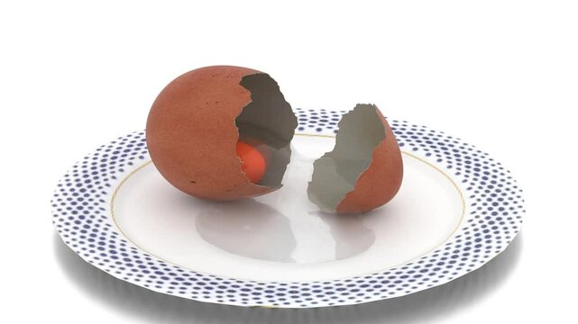 broken egg in plate