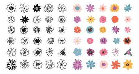 Flowering inflorescence collection, isolated colorful and monochrome flowers. Vector seasonal blooming of plants. Biodiversity of vegetation. Botanical flourishing adornment, season decor set