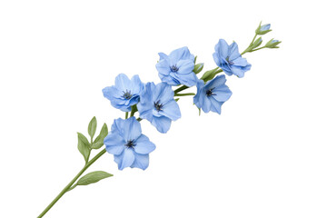 Beautiful blue flowers on a delicate green stem