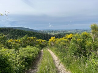 Landschaft in den Marken