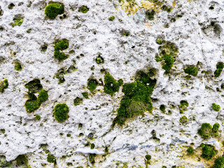 Moss covered stone wall texture as background natural pattern design element