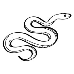 Obraz premium A coiled snake one line drawing on white isolated background ,Vector illustration,Icon