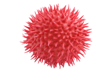 Red spiky pollen grain with intricate details