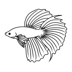 Fototapeta premium A Betta fish silhouette swimming gracefully,