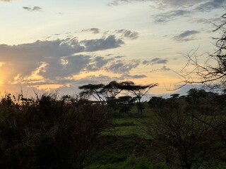 sunrise in the serengeti national park tanzania tourism safari touristic