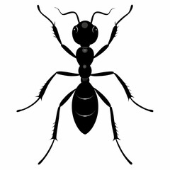 Ant vector silhouette black design white background