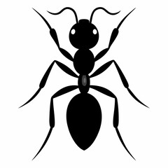 Ant vector silhouette black design white background