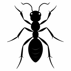 Ant vector silhouette black design white background