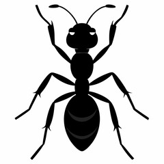 Ant vector silhouette black design white background